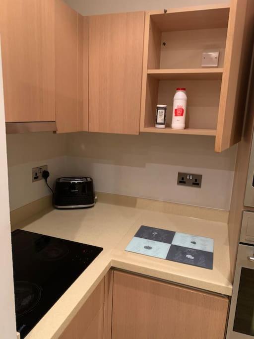 Stunning 2 Bed Flat! Centrally Located In London, Uk! Екстер'єр фото